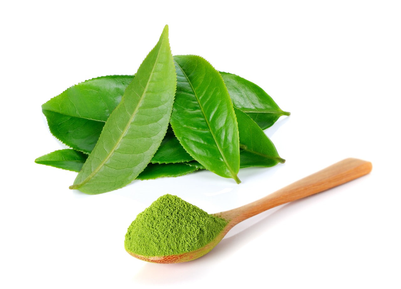 what-is-green-tea-extract-and-how-it-helps-in-weight-loss-mars-by-ghc