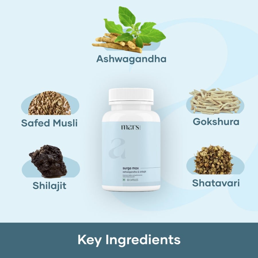 Endurance Booster Supplements - Shilajit tablets