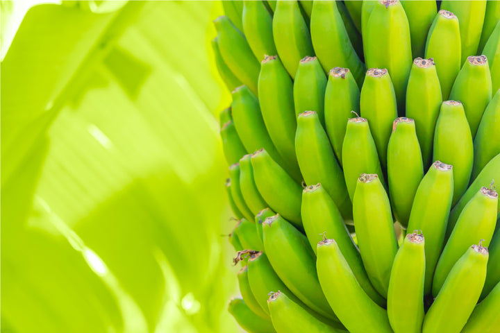 Bundles of green bananas | Raw banana flour benefits