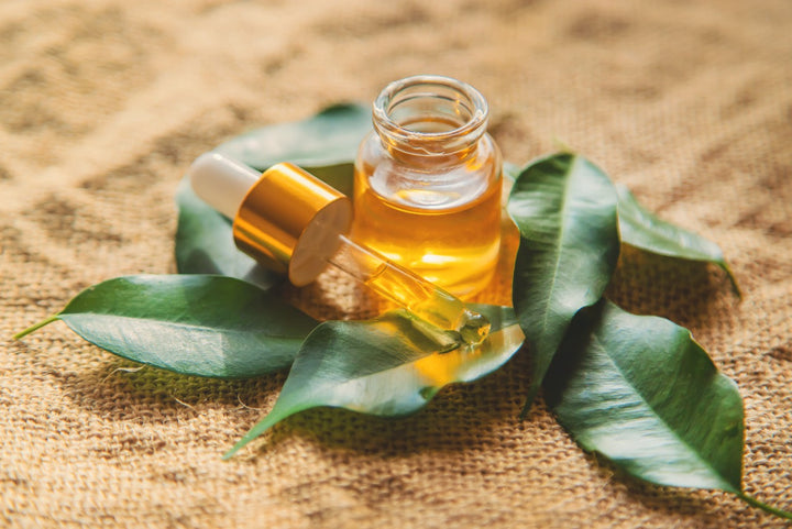 Tea Tree Oil For Hair Growth