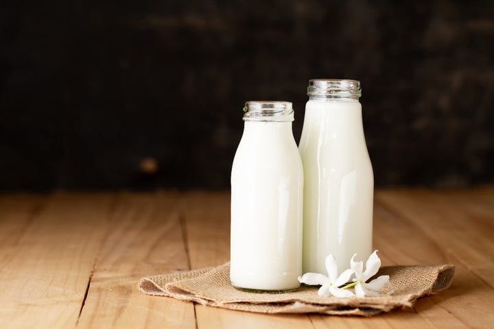 Milk is the source to maintain constant libido in the body.