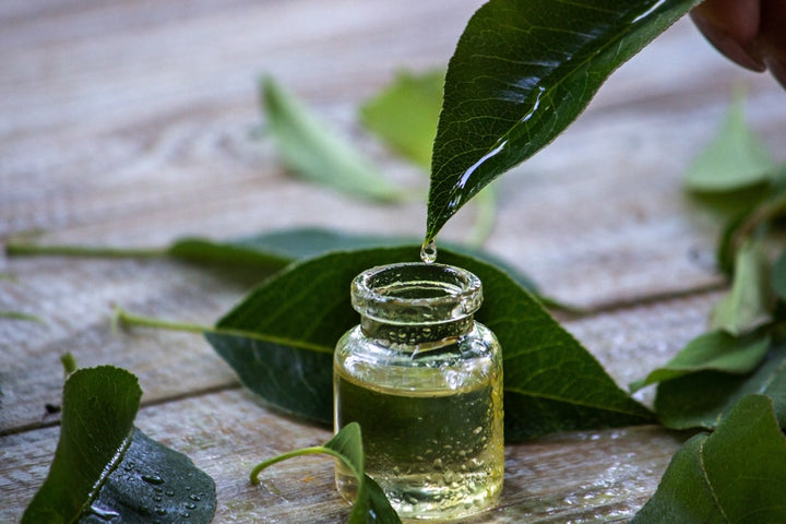 Tea tree oil for beard growth