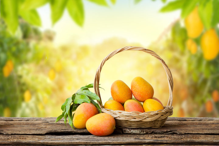  Mango butter benefits for skin
